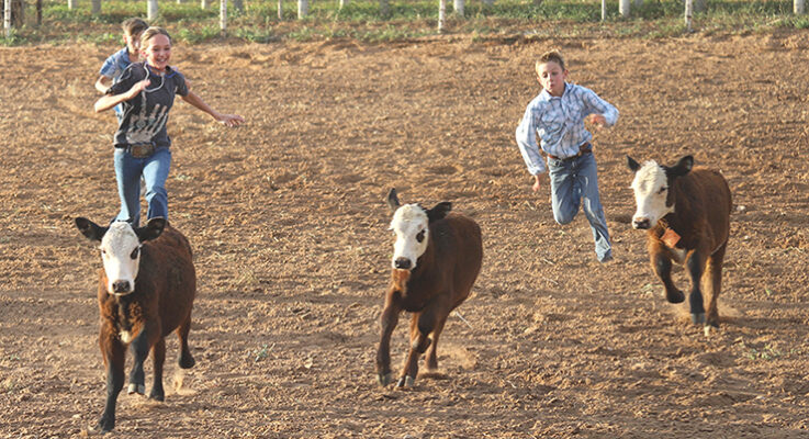 Circle M8 wins COEA annual ranch rodeo